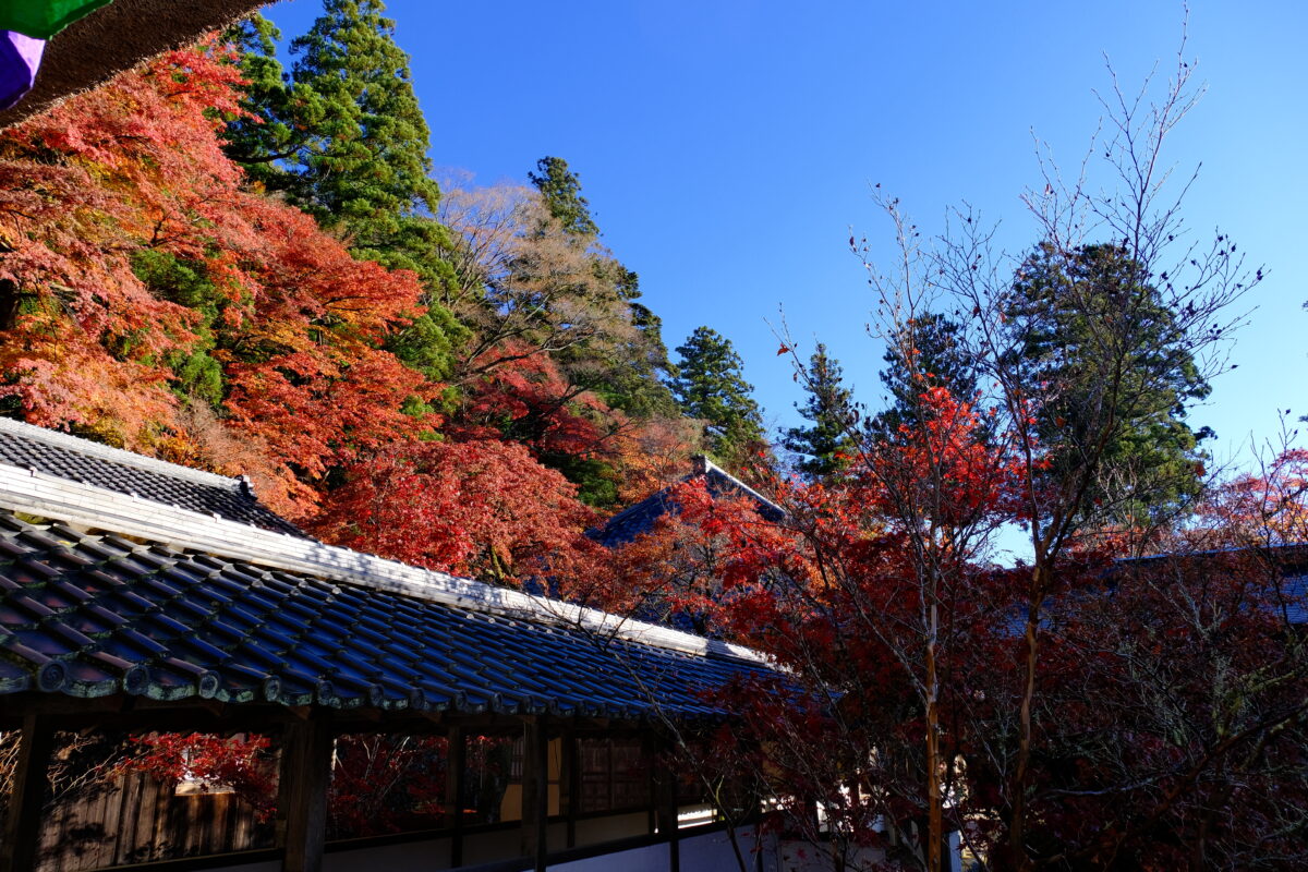 お知らせ｜臨済宗永源寺派 大本山 永源寺